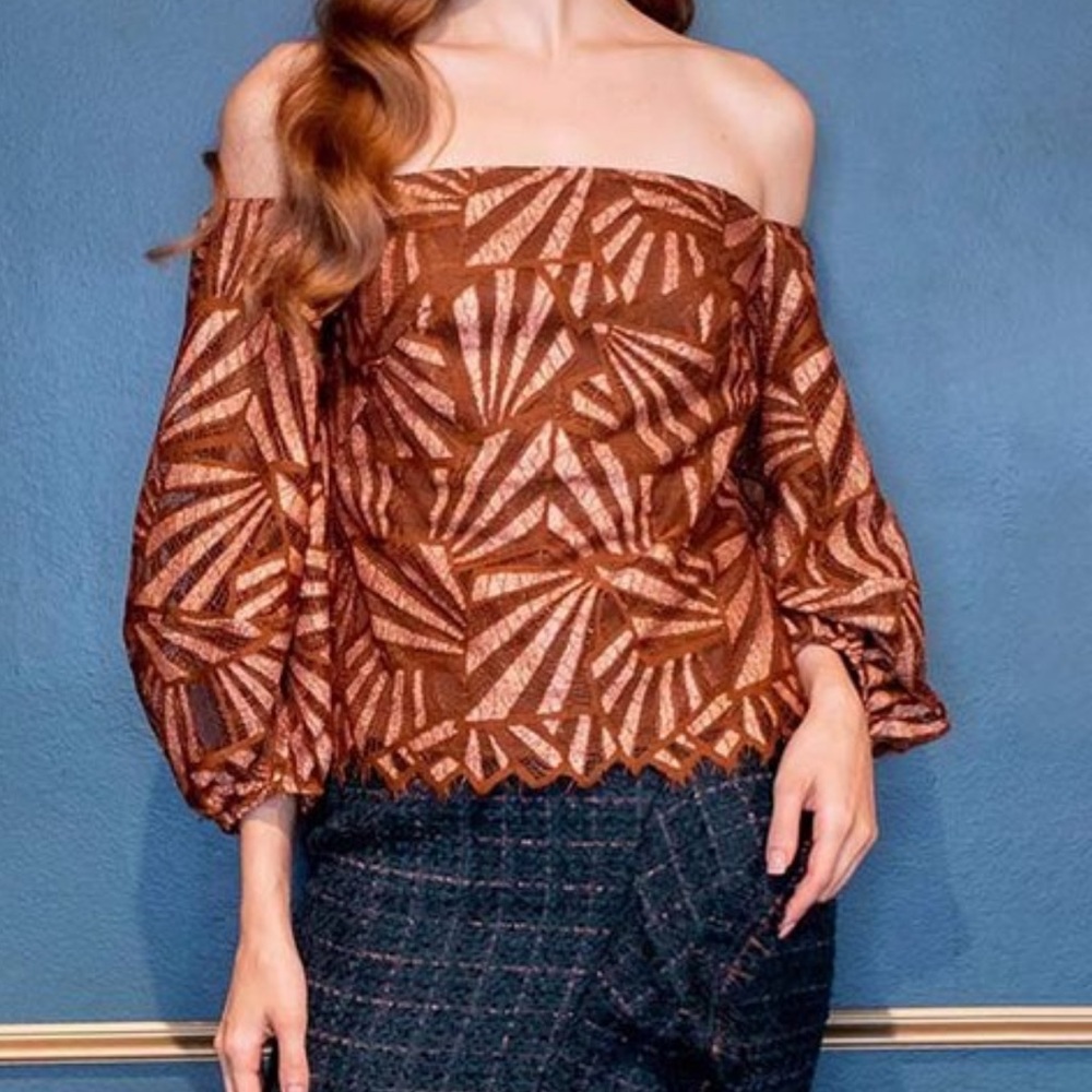 NWT Eva Franco Anthropologie Shine Bronze Lace Puff Sleeve Square Neck Blouse XL - Picture 3 of 13